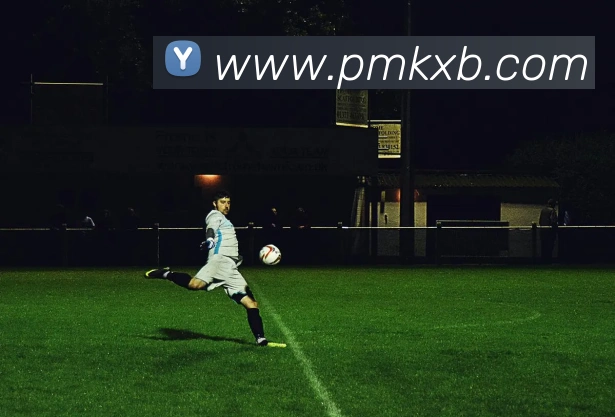 火博网页版服务体系